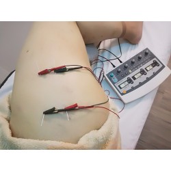 Curso Electro acupuntura