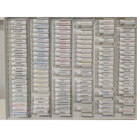 Kit bacterias